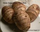 Arbi/Taro Root/Chamadumpa