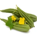 Turia/Ridge Gourd (450g - 550g)
