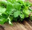 Fresh Coriander - 1 Bunch