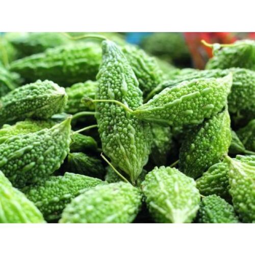 Karela (Bitter Gourd)
