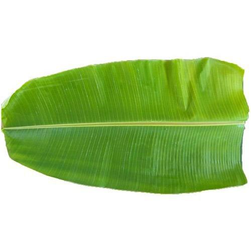 Banana Leaf - 1 Each