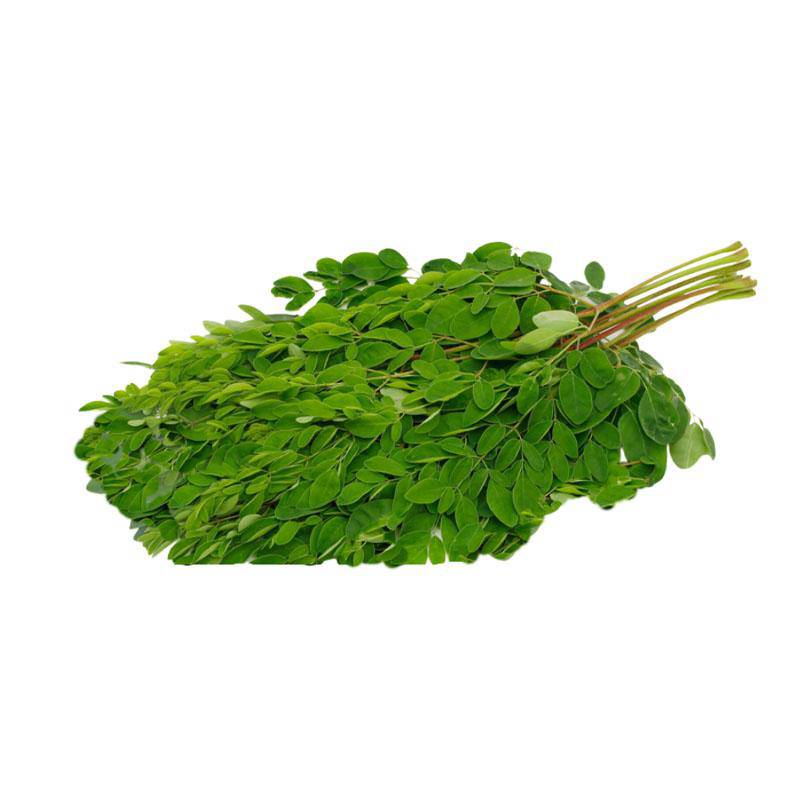 Drumstick / Moringa Leaves - 1 Bunch