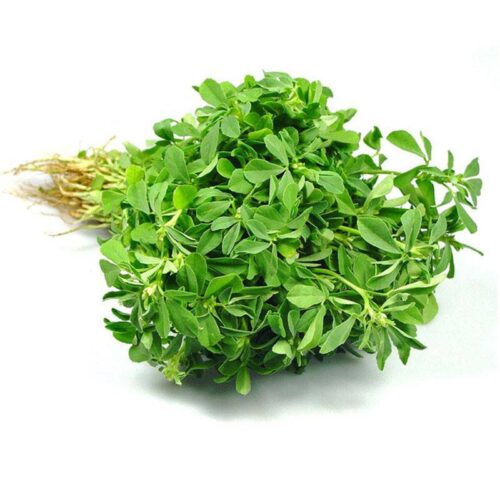 Methi - 1 Bunch