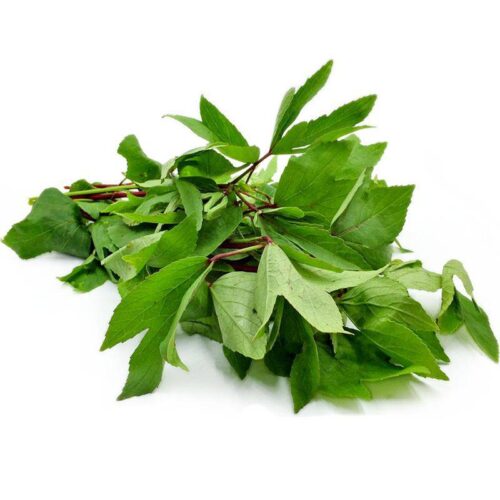 Sorrel Leaves (Red Gongura) - 1 Bunch
