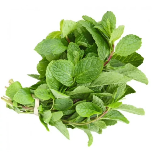 Mint Leaves - 1 Bunch