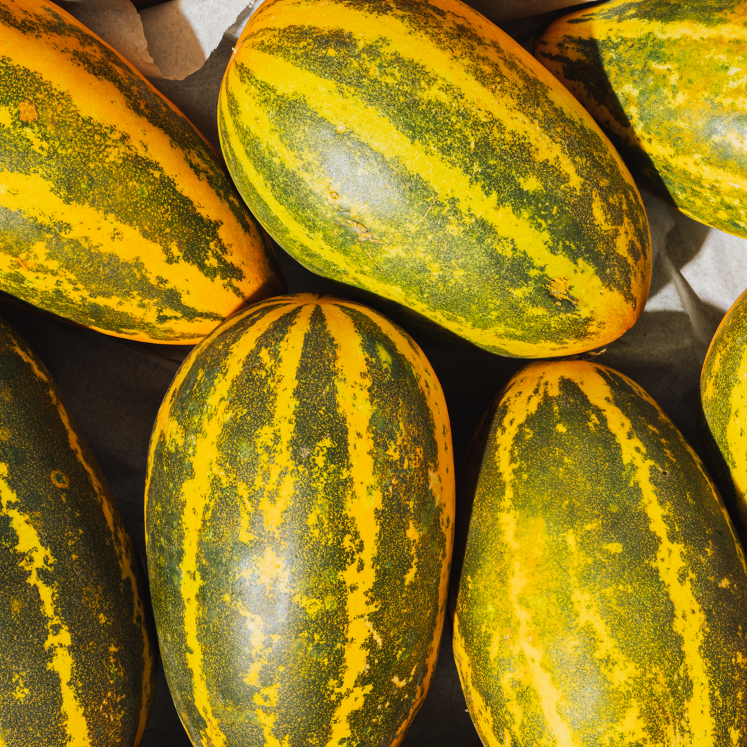 Yellow Cucumber(Dosakaya) - approx. 750g-900g