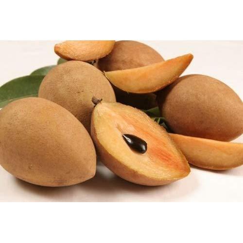 Fresh India Chikoo (Sapota) - 500g
