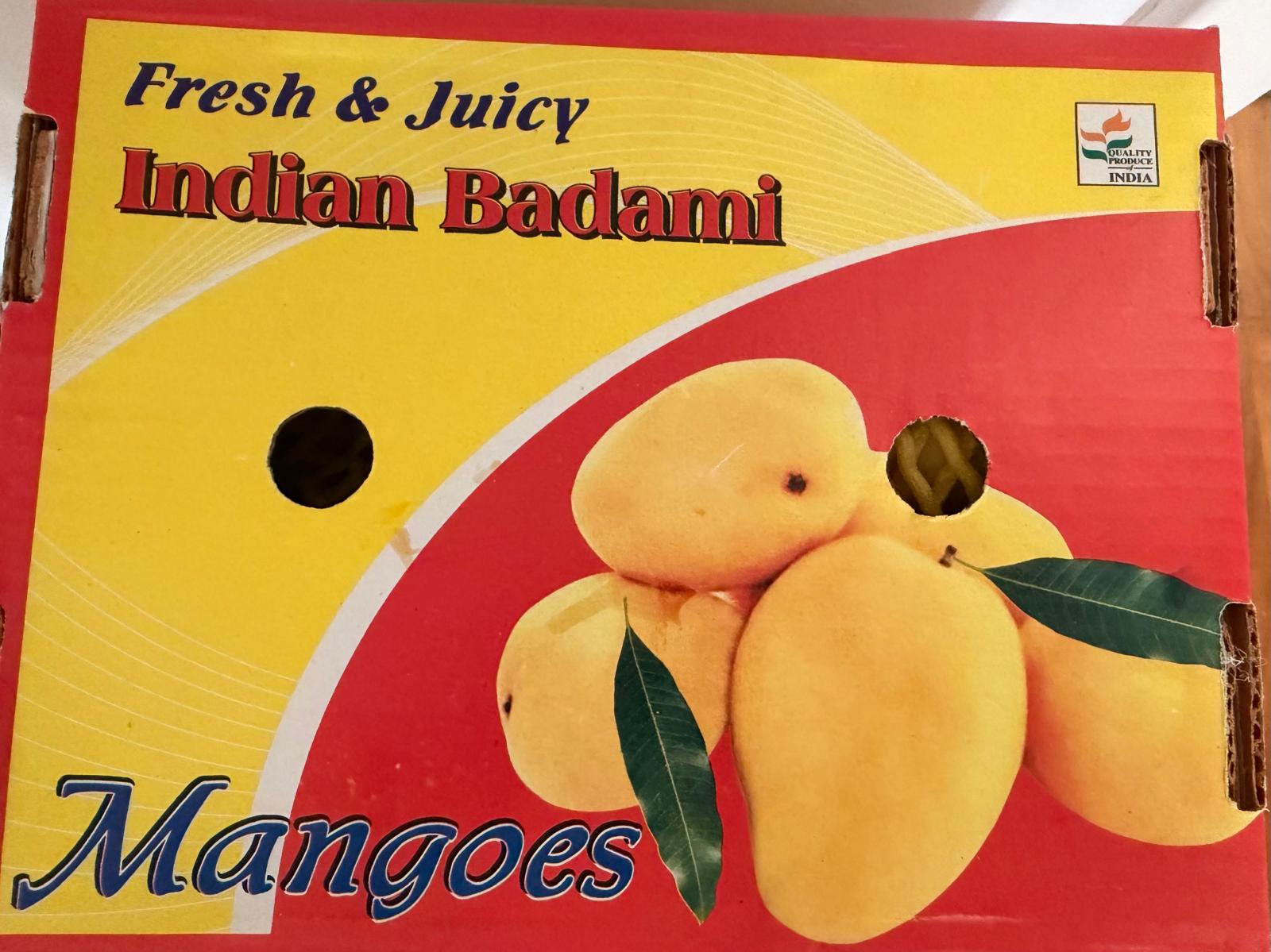 Indian Badami(Banganapalli) - 1.5kg (4 to 5 pcs)