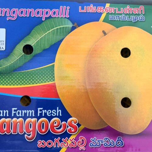 Indian Banganpalli Mango - 4kg box(10 to 12 pcs)