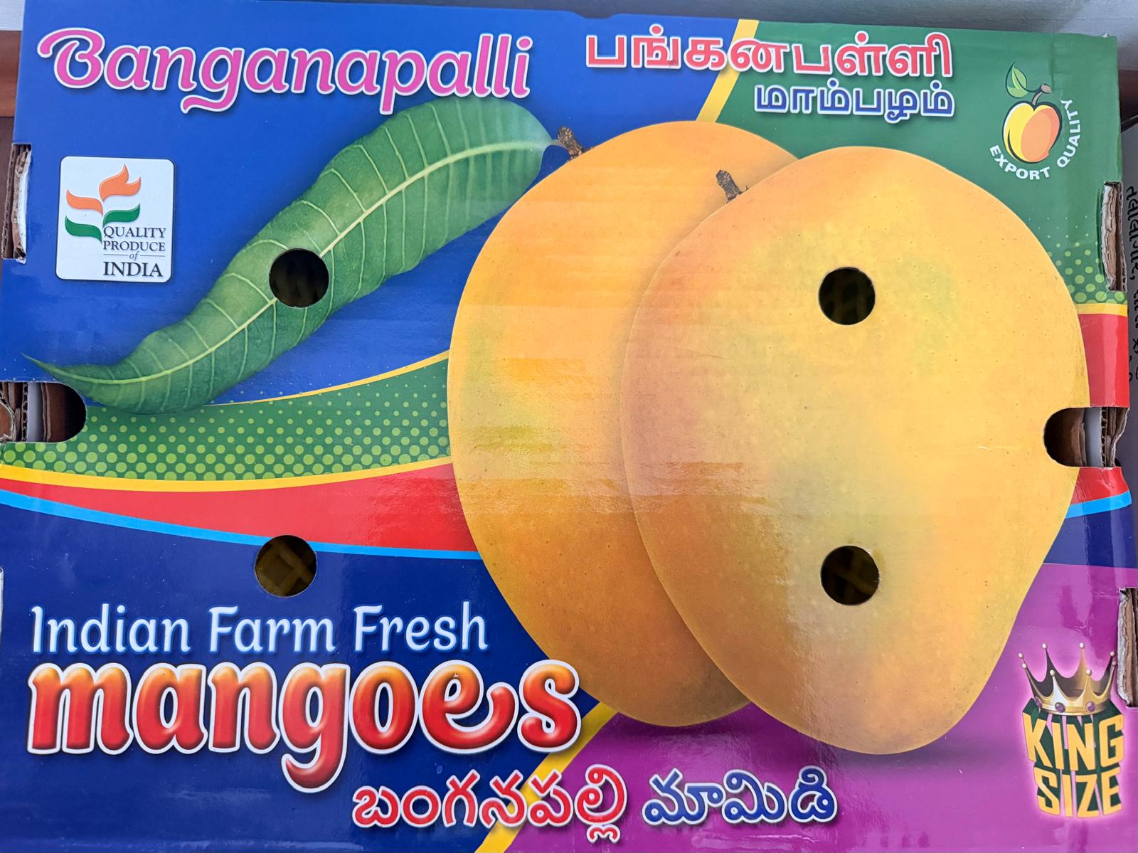 Indian Banganpalli Mango - 4kg box(10 to 12 pcs)