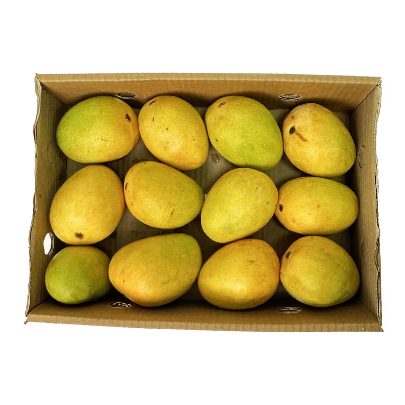 Alphonso box 12 pieces (3kg-3,2kg)