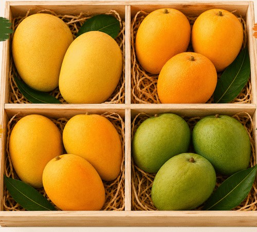 Assorted Mango box(11 pcs) -3.1kg