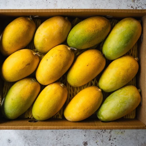 Kesar Mangoes 12 Pieces (3kg-3.2Kg)